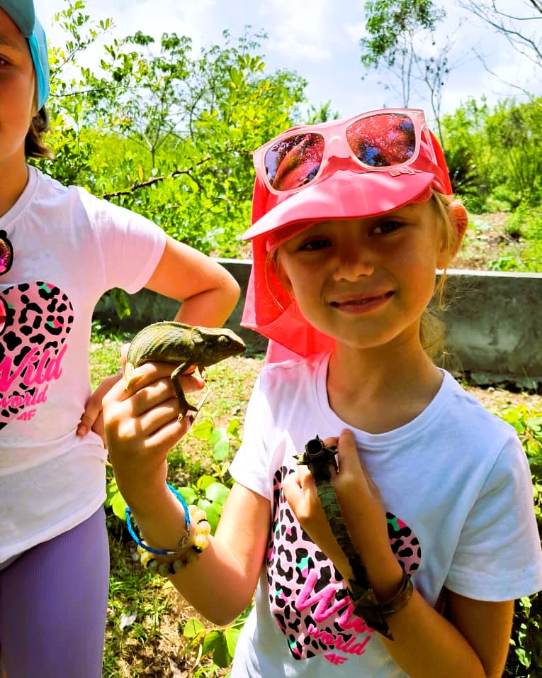 Jozani Forest and Butterfly Tour butterfly