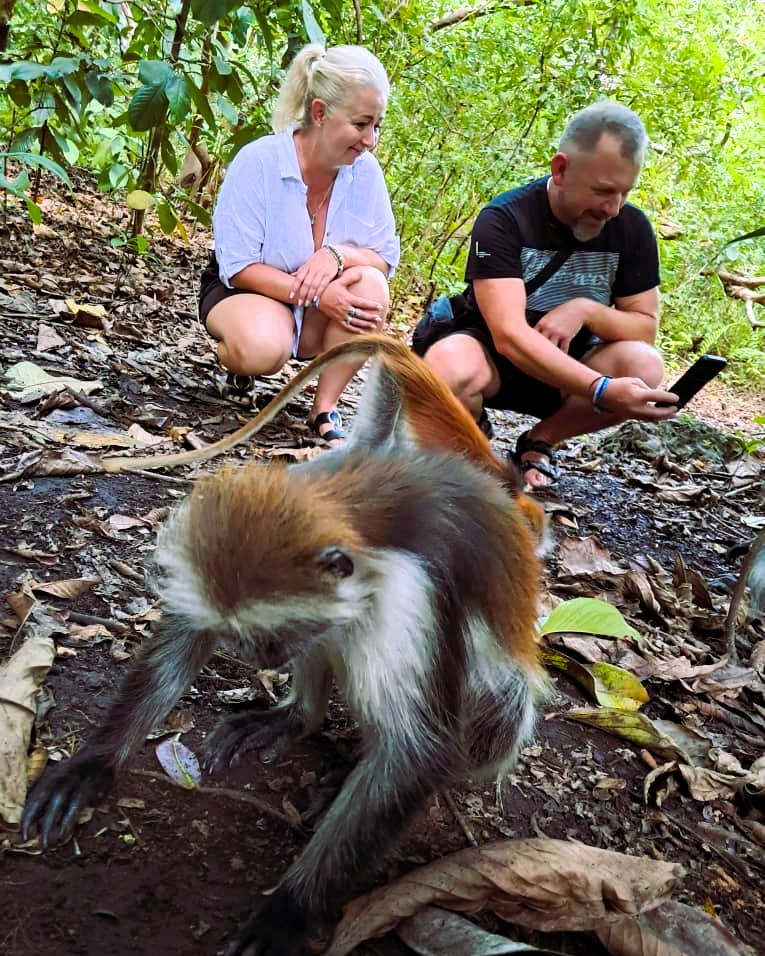 Jozani Forest Tour nature trail