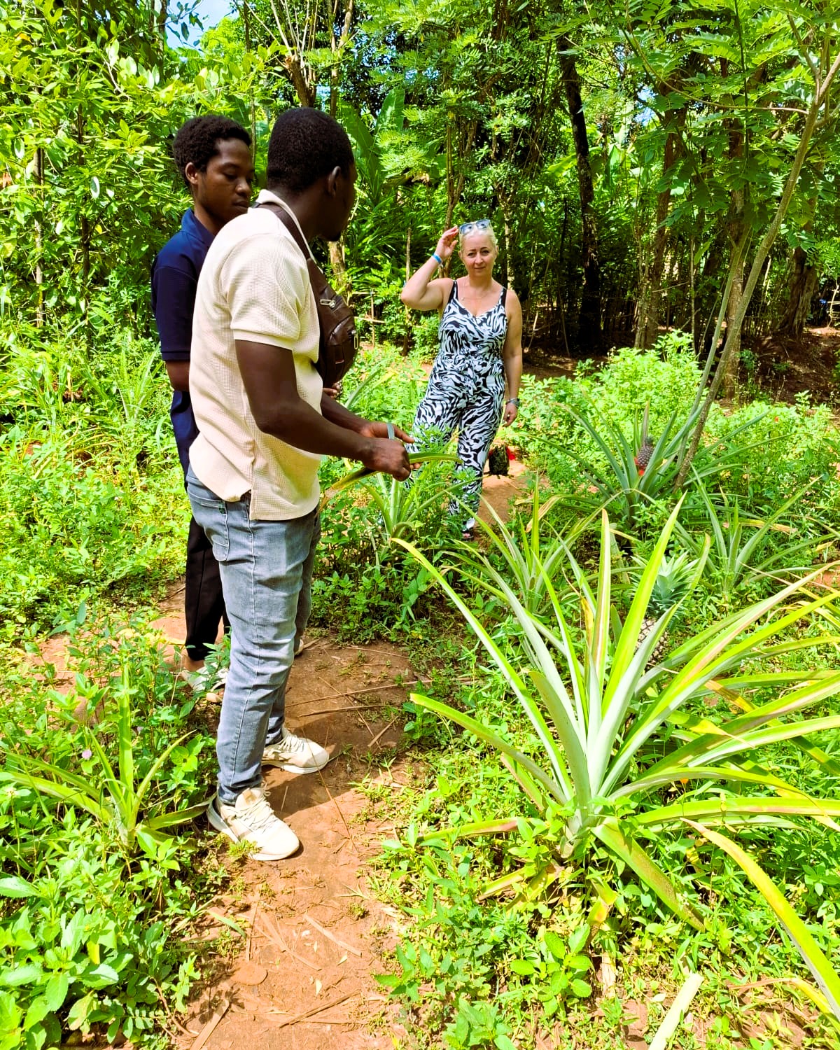 Spice Farm, Stone Town, and Prison Island Tour