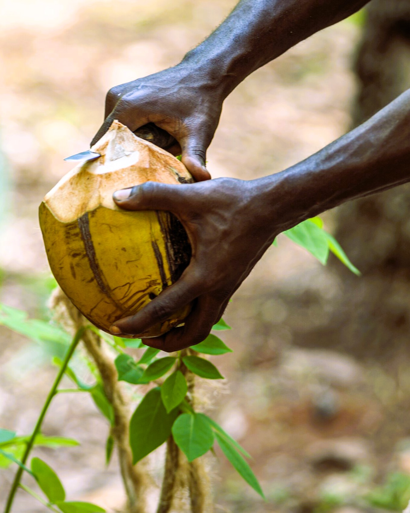 Zanzibar Village Tour